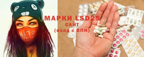эйфоретик Аркадак