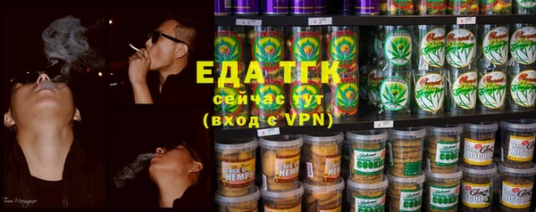 шишки Арсеньев