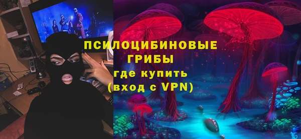 эйфоретик Аркадак