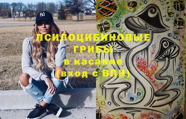 шишки Арсеньев