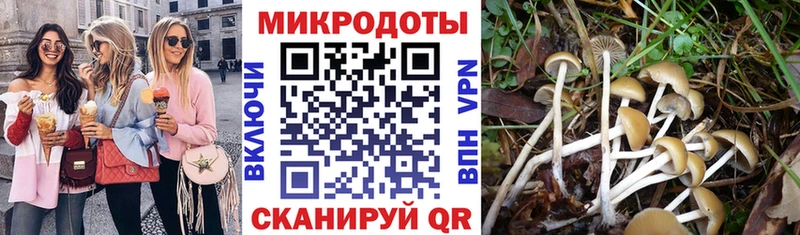 Псилоцибиновые грибы ЛСД наркошоп Белинский